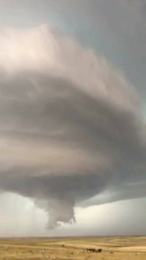 Storm